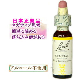 バッチフラワーレメディ ゲンチアナ 癒しグッズ-内心の不確かさ 10ml 1本