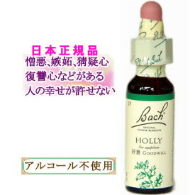 バッチフラワーレメディ ホリー 癒しグッズ-人や周囲に敏感 10ml 1本