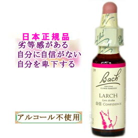 バッチフラワーレメディ ラーチ 癒しグッズ-失意と絶望 10ml 1本