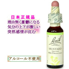 バッチフラワーレメディ マスタード 癒しグッズ-現実への無関心 10ml 1本