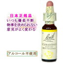 バッチフラワーレメディ スクレランサス 癒しグッズ-内心の不確かさ 10ml 1本