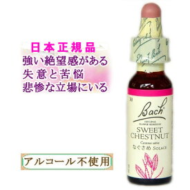 バッチフラワーレメディ スイートチェストナット 癒しグッズ-失意と絶望 10ml 1本