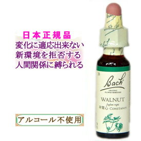 バッチフラワーレメディ ウォルナット 癒しグッズ-人や周囲に敏感 10ml 1本