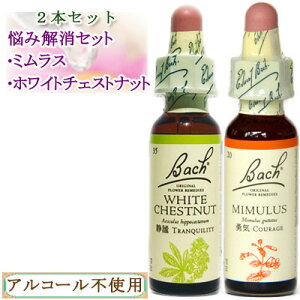 ob`t[fB Yނe[}̃fB2{Zbg(~XAzCg`FXgibg) 10ml OZ^Cv