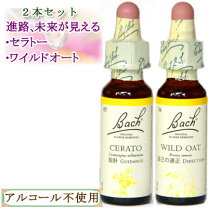 楽天市場】フラワーエッセンス セットの通販