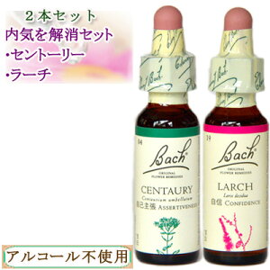 ob`t[fB Ce[}̃fB2{Zbg(Zg[[A[`) 10ml OZ^Cv