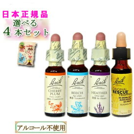 バッチフラワーレメディ バイキング 4本セット 送料無料