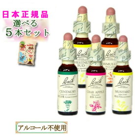 バッチフラワーレメディ バイキング 5本セット
