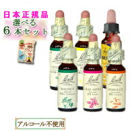バッチフラワーレメディ バイキング6本セット
