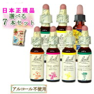 バッチ フラワー レメディ バイキング 7本セット バッチフラワーレメディ 送料無料