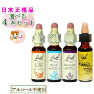 バッチフラワーレメディ バイキング 4本セット 送料無料
