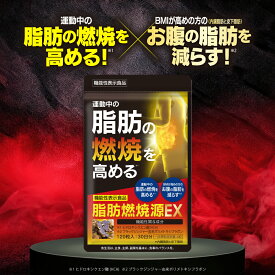 【公式】 脂肪燃焼源EX 機能性表示食品 約30日分 ダイエッターサポート* サプリメント サプリ BMI 体重 皮下脂肪 内臓脂肪 肥満気味 脂肪燃焼 ヒドロキシクエン酸 ブラックジンジャー *ダイエットする方の栄養補給 【ハーブ健康本舗】