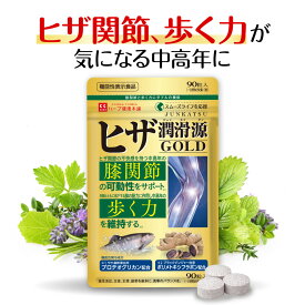 ヒザ潤滑源GOLD 機能性表示食品 90粒 プロテオグリカン ブラックジンジャー N-アセチル グルコサミン コンドロイチンII型コラーゲン 国内製造【ハーブ健康本舗 公式】