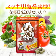 【公式】 赤モリモリスリム粒 約10日分 お試し ダイエタリーライフサポート* 健康食品 サプリメント サプ…