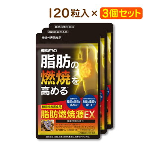 ő50%OFFN[| 420` /yz bRČEX @\\Hi 30 _CGb^[T|[g* Tvg Tv BMI ̏d 牺b b 얞C bR qhLVNG_ 