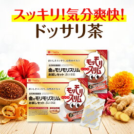 【公式】 金のモリモリスリム ルイボス茶風味 約10日分 10包 お試し ダイエッターサポート* お茶 茶 ティー フレーバーティー ティーバッグ ティーパック 簡便秘密は個包装 *ダイエットする方の栄養補給 【ハーブ健康本舗】