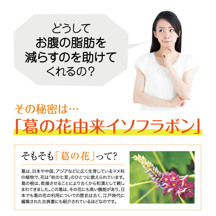 【ハーブ健康本舗 公式】シボヘール 機能性表示食品 葛の花由来イソフラボン 120粒入り×2個セット ハーブ健康本舗 2袋セット ハーブ健康本舗 シボヘール 120粒