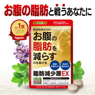 【公式】脂肪減少源EX ダイエットサプリ 肥満気味な方の 体重 お腹の脂肪（内臓脂肪と皮下脂肪） や ウエ…
