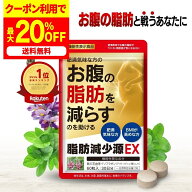 2個購入で1個プレゼント！9月19日22:00～ /【公式】脂肪減少源EX ダイエットサプリ 肥満気味な方の 体重 …