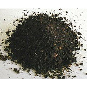 �j�[���P�[�L�@10kg�@�W�b�N�j�[���̈��������@�������엿�@�~�l�����L�x�y���������z�@�y�Q���쏜�z�K�N�ɂ���F