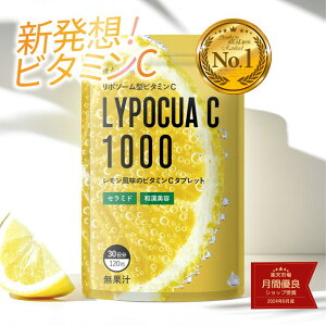 �_�}���\��500�~OFF�^���|�\�[���r�^�~��C �T�v�� �a�����e�����z�� �`���A�u���^�C�v�^�Z���~�h �����^�r�^�~�� ���� �N�R�t �����M �E�R���z���^120�� ��30���� LypocuaC1000