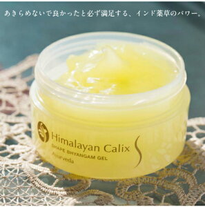 VFCvrKWFy100gzA[F[_X~OWF/_CGbg RČn zX^C {fB Sg I[KjbN Ƃ SS Mtg h邾 yXIXXz