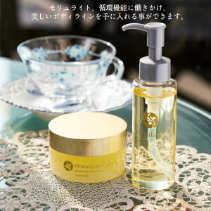 VFCvrKICy100mlzA[F[_X~OIC/ _CGbg RČn zX^C {fB Sg I[KjbN Ƃ SS Mtg h邾yXIXXz