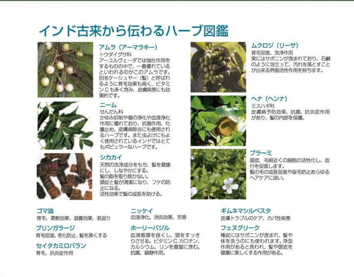 楽天市場 送料込 アムラヘアクレンザー 150ml ノーマル用シャンプー 白髪防止 育毛剤 発毛促進 養毛剤 薄毛 ふけ かゆみ 頭皮ケア 父の日 ギフト 安心安全 ギフト アーユルヴェーダ ナチュラル コスメ 乾燥 アトピー 肌荒れ 脂性肌 美肌 赤ちゃんから安心