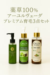 y100zA[F[_ v~A3_ZbgbVv[EICEwAgjbNbї\hbуT|[g bI[KjbNVv[bwAICb A[F[_