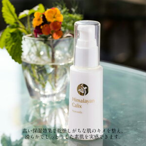 nChCeBO~Ny50mlzpt/  ڌ  A`GCWO  N} ڔN n q et I[KjbN Mtg