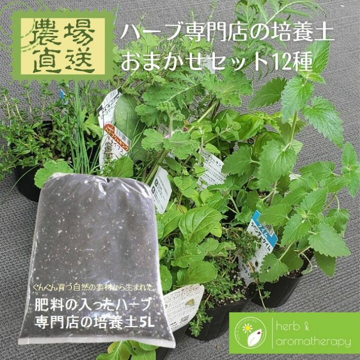 楽天市場 おまかせハーブセット 12種と肥料の入ったハーブ専門店の培養土5l 4袋 園芸用品 ブレンド用土 園芸用土 農場直送 ハーブ苗専門店 ハーブとアロマテラピー