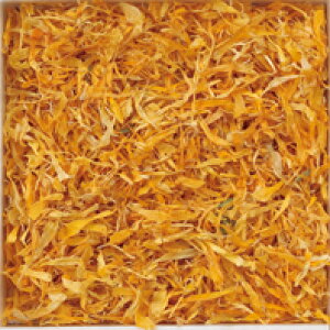50g�P�ʗʔ� �}���[�S�[���h �n�[�u�e�B�[ ���t �y�^�� �|�b�g�}���[�S�[���h �Z�C���E�L���Z���J �o���N�n�[�u �V���O���n�[�u �t�����[ �� Pot Marigold