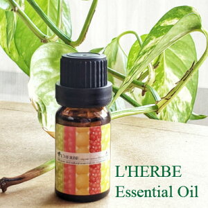 �W���j�p�[�x���[ 10mL �����u �I�[�K�j�b�N �A���}�e���s�[ �G�b�Z���V�����I�C�� ���� 100�� PURE �A���}�I�C�� �Z���s���e�B�b�N�O���[�h �M�t�g �v���[���g