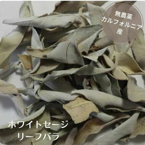 zCgZ[W ~jpbN [t o 򉻗pACe X}bWO4g _ i` R͔| White Sage