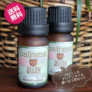 oj[Y AWAIC Iׂ5{Zbg 3mL×5{ A}IC GbZXIC AWAIC }bT[W fBt[U[ oj[Y}bT[W CC WX~ `pJ