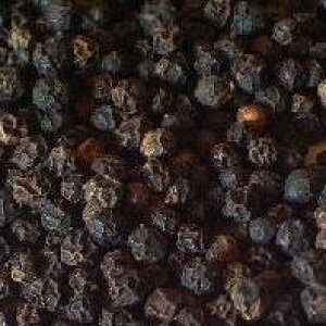 100gPʗʔ ubNybp[ ubNyp[ Ӟ oNn[u VOn[u NbLO h V[h XpCX  Black Pepper