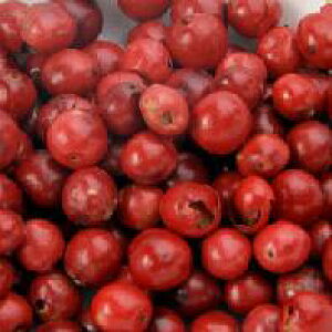 100gPʗʔ sNybp[ sNyp[ ԌӞ oNn[u VOn[u n[uNbLO h V[h XpCX  Pink Pepper
