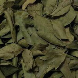 100g単位量売 カレーリーフ バルクハーブ シングルハーブ クッキング 香辛料 リーフ 葉 Curry Leaf