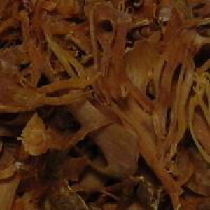 10gPʗʔ [X jNYN  oNn[u x[ XpCX h َqޗ NbLOn[u ̎̉ Mace