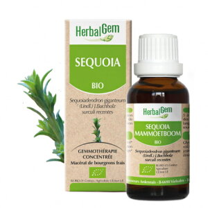 �n�[�o���W�F�� �Z�R�C�A BIO 50ml �l�ԗp ���R��R�̖͂��� ���s ���֐߂̋����T�|�[�g�� �V��̂����� �W�F���G�b�Z���X �n�[�u �T�v�� �W���C�A���g���b�h�E�b�h SEQUOIA Redwood Giant�y���K�A