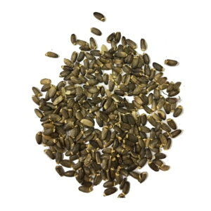 ~NVX 20g 100g 1kg IIAU~ n[ueB[ R Y VRn[u100% hCn[u PRO n[oXg Ɩp