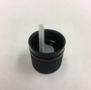 u[rp hbp[tLbv Pi p ֗p