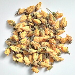 CG[[Y obc 20g 100g 1kg n[ueB[ hCn[u R o ڂ mZNg  |v Ntg