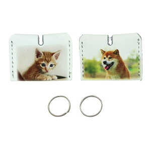 U[ L[Jo[ 2 Zbg L ̎ ̔ԍ NO. Bɓ{ v L[Lbv`OX֌ 