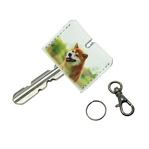 `OX֌ U[ L[Jo[  Ck lRv L[Lbv