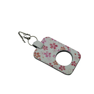 `OX֌ Jt ߂ˁETOXz_[ O Nbvtv {