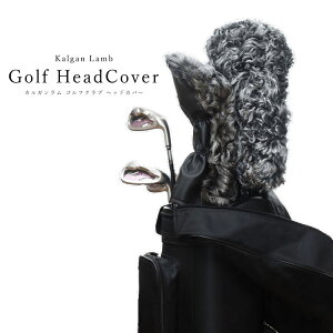 StNu Jo[ wbhJo[ JK t@[ ubN Vo[ Y fB[X Mtg v[g Stq