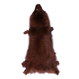 u[tHbNX t@[ nM XL v[g _[NuE [؂ ͂ p[c | Ntg Mtg v[g