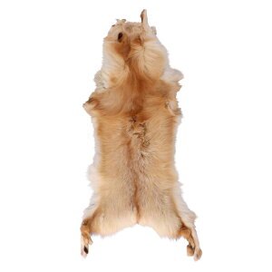 ゴールデンアイランドフォックス ファー ハギレ スキン プレート ナチュラル 端切れ はぎれ パーツ 手芸 クラフト ギフト プレゼント