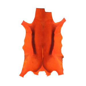 g\K[ t@[ O}bg ~ XL   CeA  fB[X Y Mtg v[g